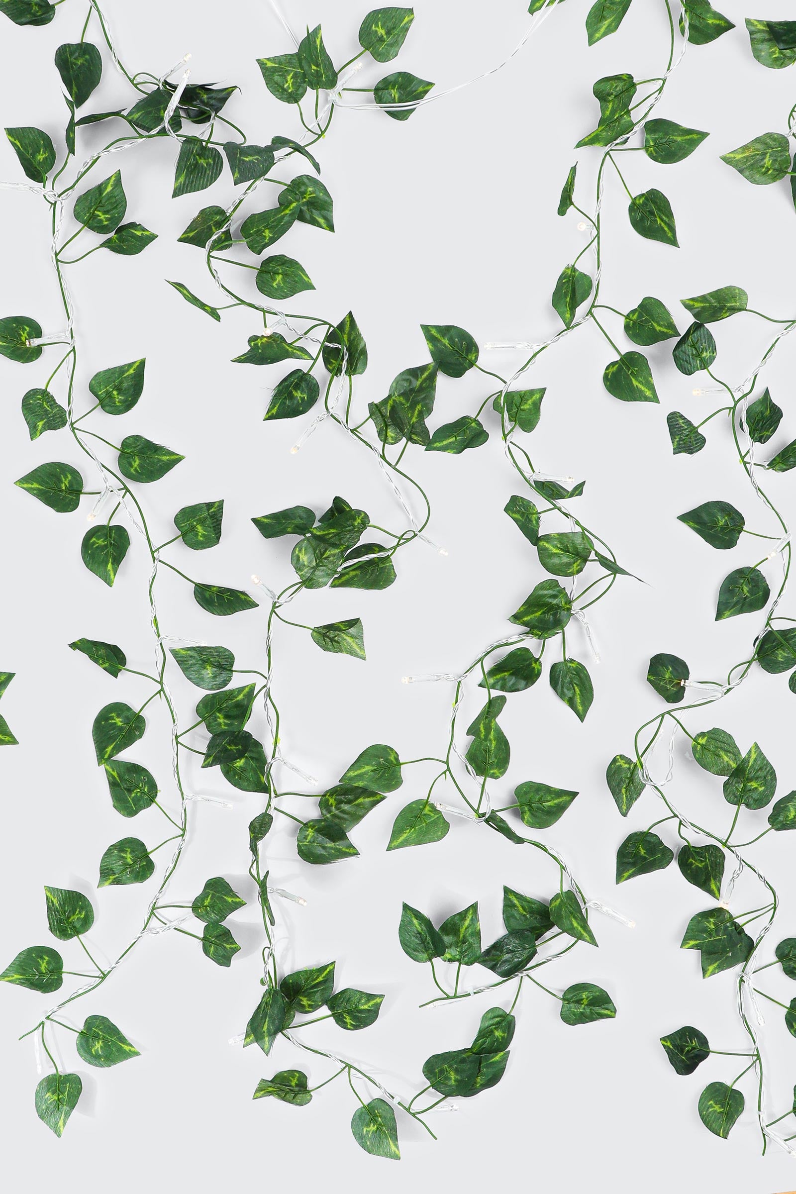Vine LED Curtain Lights