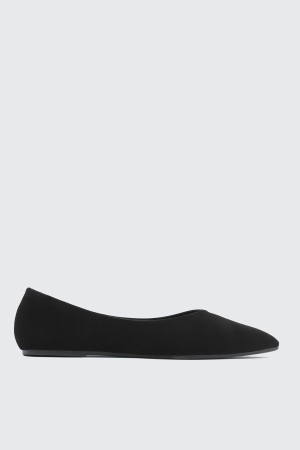 Pointed Toe Flats