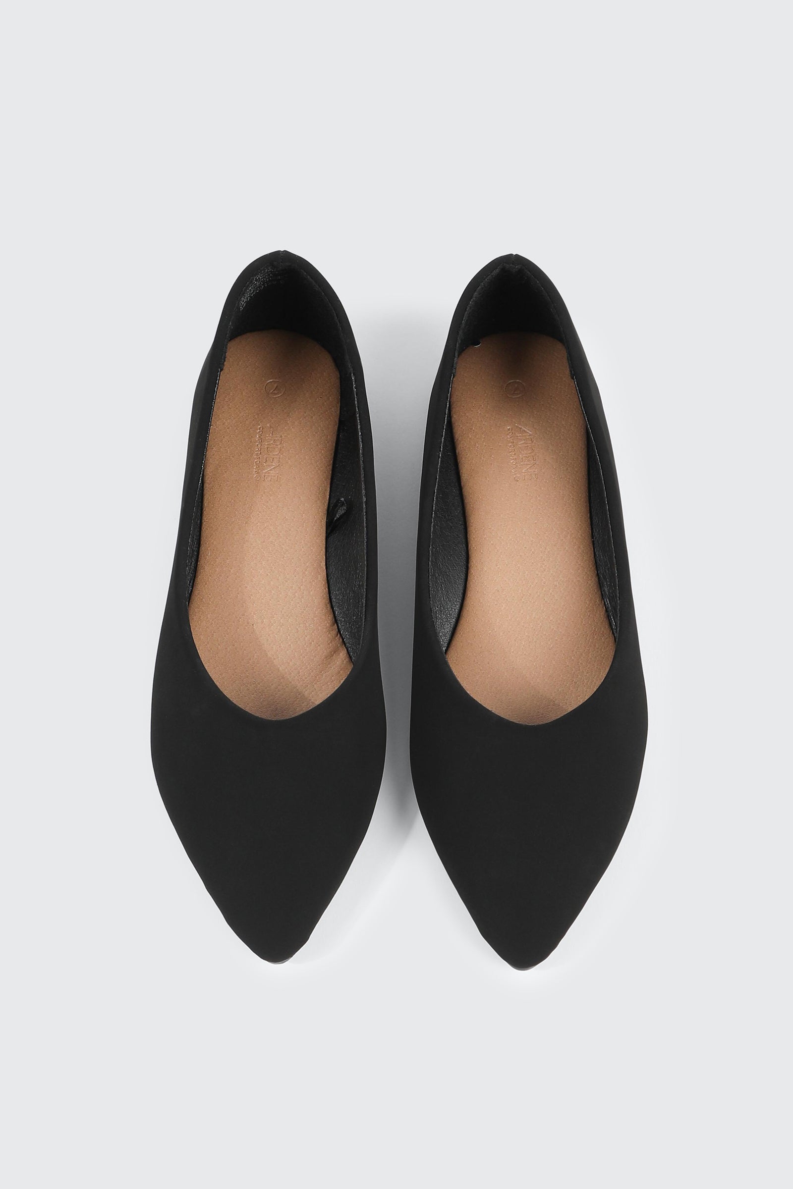 Pointed Toe Flats