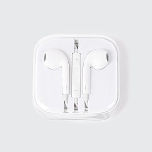 Wired Earbuds in Storage Case